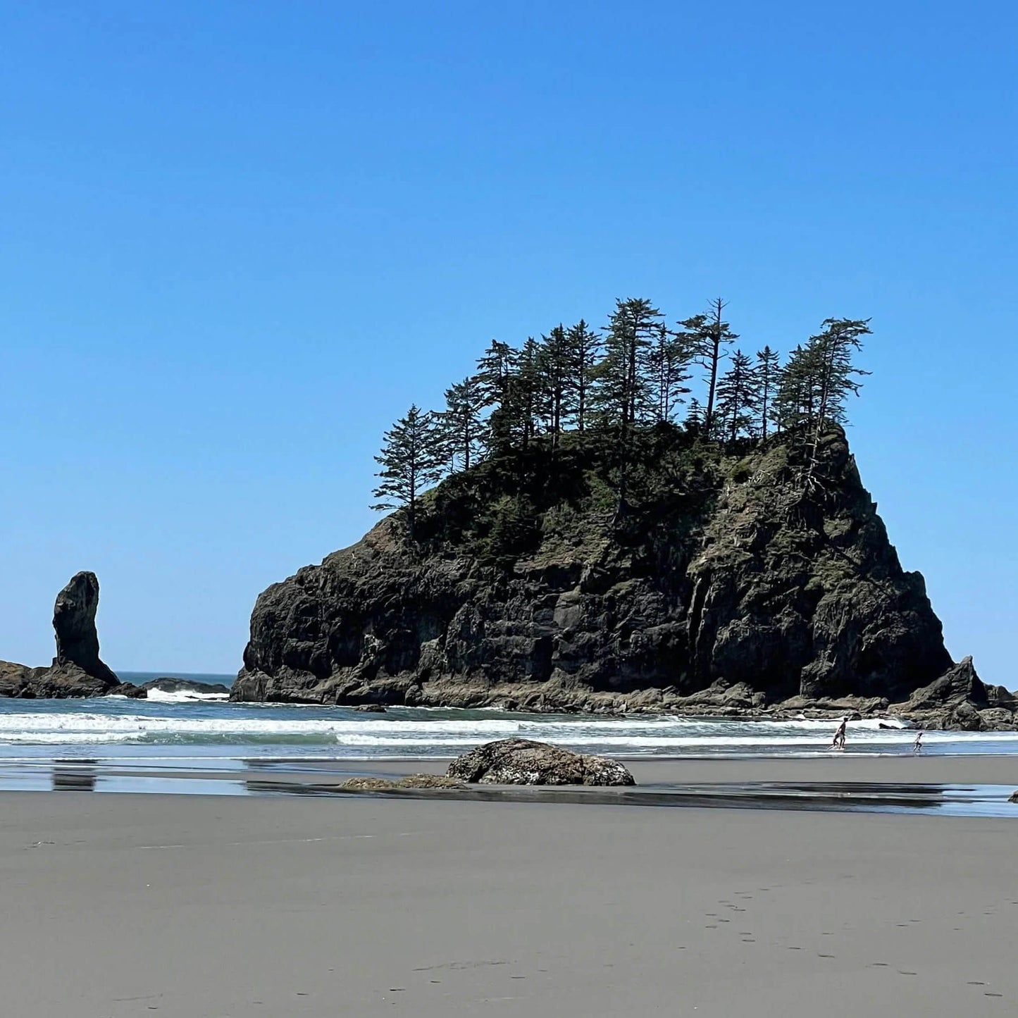 LaPush Coastal Bliss